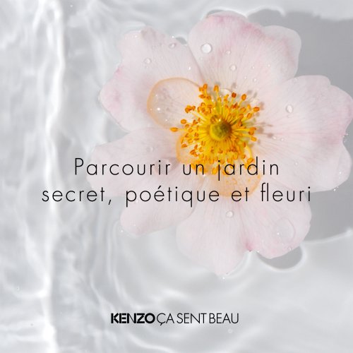 KENZO ES RIECHT SCHÖN - Eau de Toilette 3274872420847 KENZO ES RIECHT SCHÖN - Eau de Toilette 3274872420847